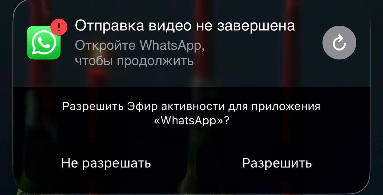Фото Новосибирцы жалуются на сбои в работе мессенджера WhatsApp* 2 - Сиб.ФМ Фото Новосибирцы жалуются на сбои в работе мессенджера WhatsApp* 2